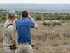 Kwandwe Ecca Lodge - Wildlife 